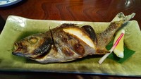 浜松山本亭'23.3.5白身魚.JPG